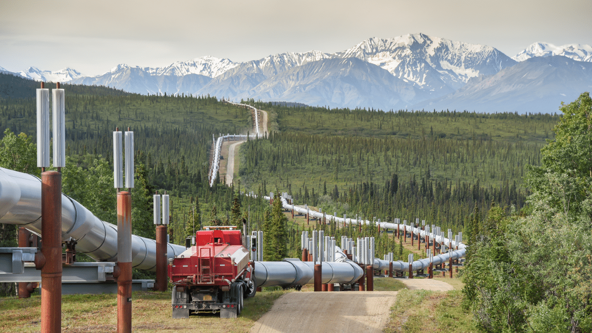 Alaskan Pipeline Condom